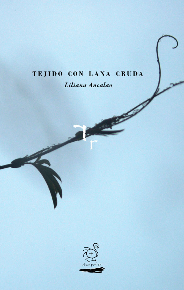 Liliana Ancalao y Graciela Hernández