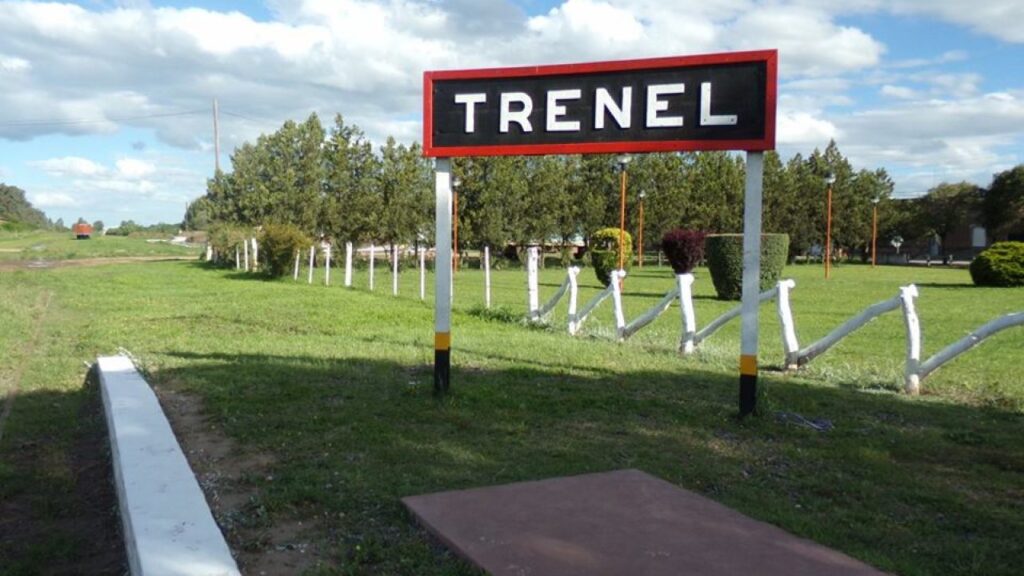 "Leer bajo la sombra"