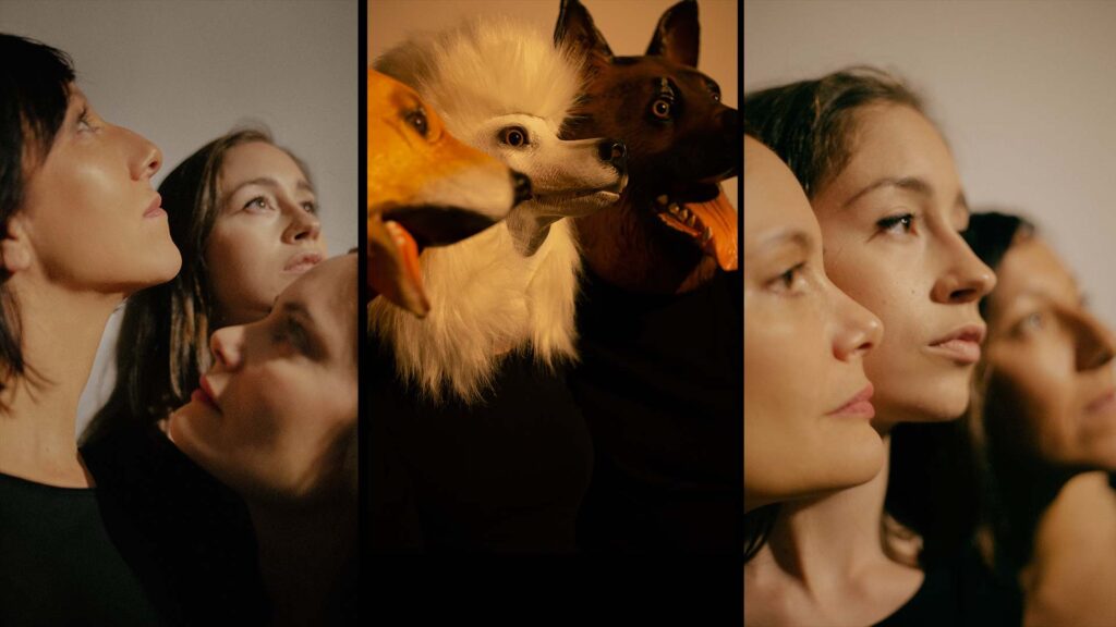 “El Coloquio de los Perros” de Miguel de Cervantes, desde una perspectiva feminista